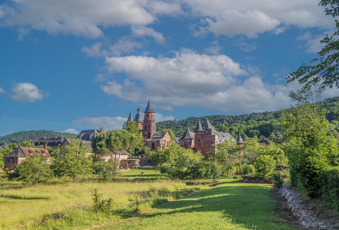 В чем смысл The Long Dark?