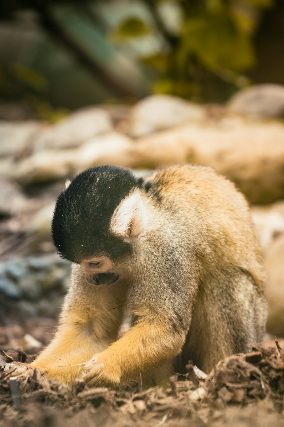 Кто играл следователя в Фишере?